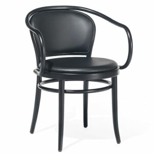 Black bentwood armchair with padded seat and back. Modern furniture.