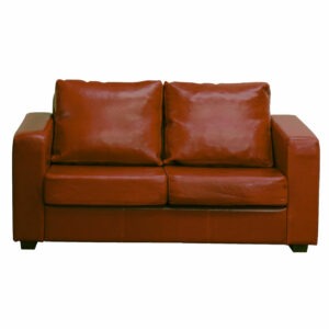 Front view of a two-seater Brit Sofa in factory faux leather, featuring a solid wooden frame and two matching cushions.
