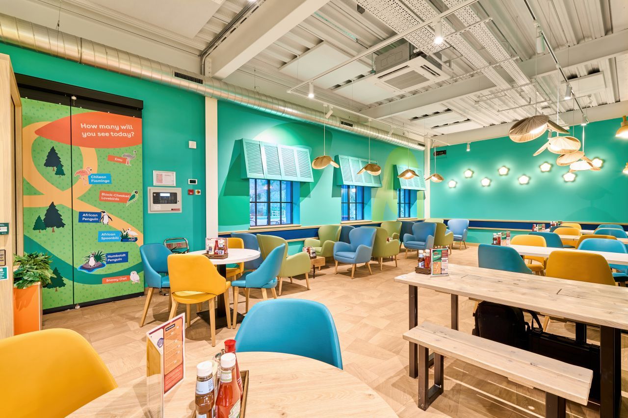 Birdworld6 Interior view featuring Merinal lounge chairs in a vibrant restaurant space with turquoise walls and wooden furniture.