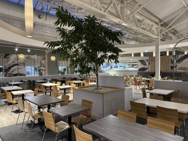 Large indoor tree grows from a central stone-topped planter surrounded by dark wood tables and light timber chairs.