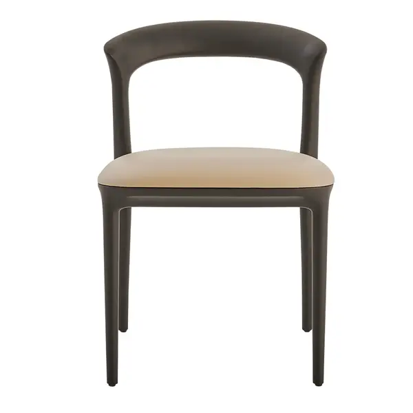 Direct frontal view of the Fau Side Chair, featuring a dark wood frame and a neutral upholstered seat.