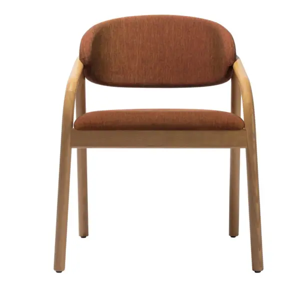 Front view of the Elia Armchair featuring a natural timber frame and warm burnt-orange fabric against a plain backdrop.